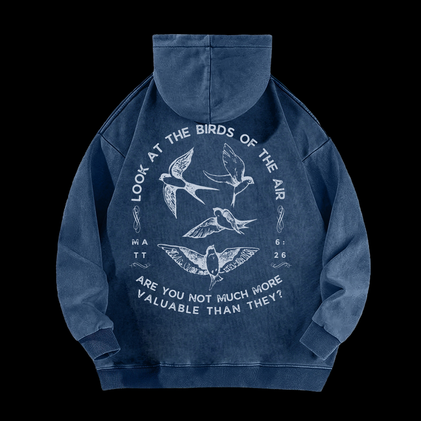 Look At The Birds Of The Air Washed Hoodie