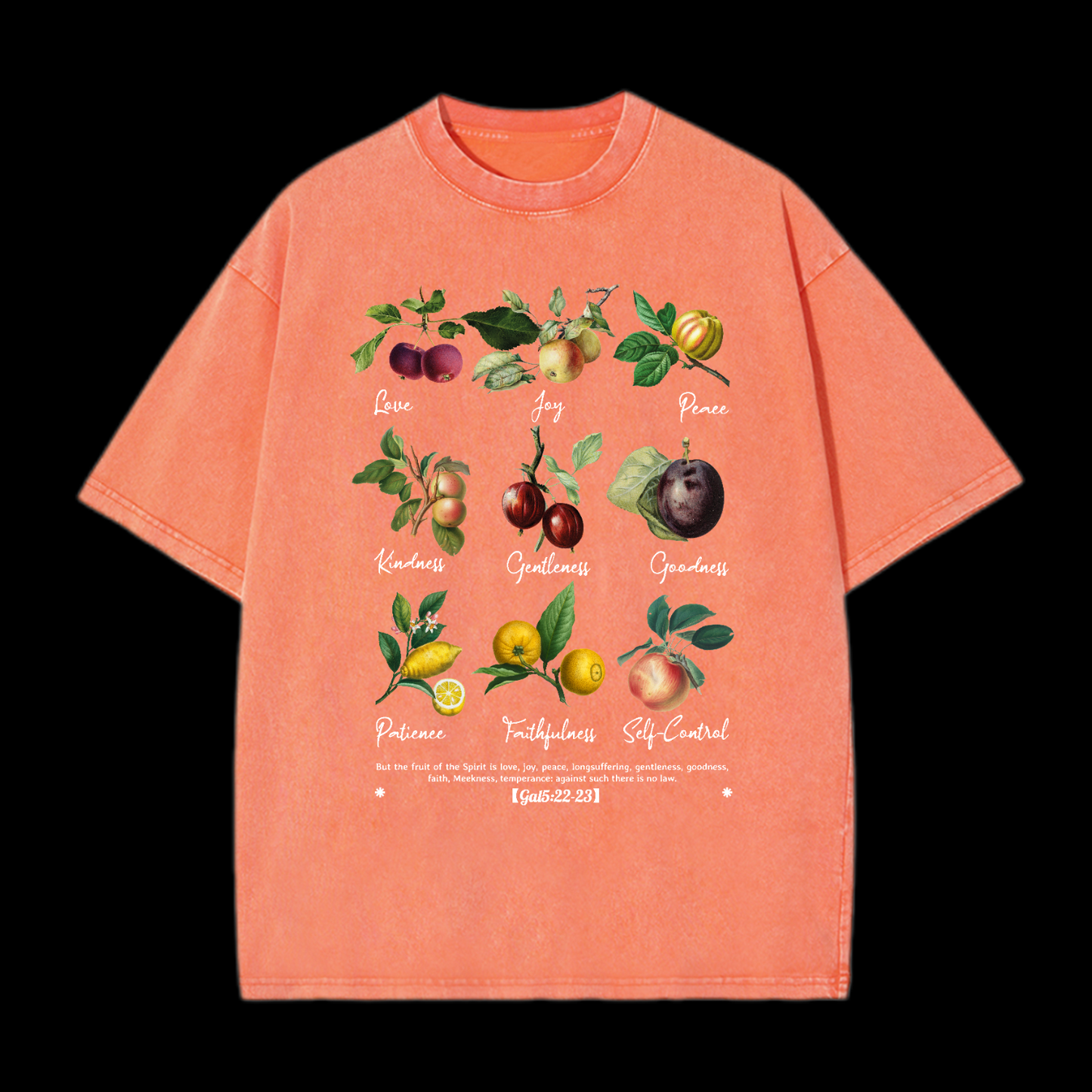 Fruit Of The Spirit Washed T-Shirt