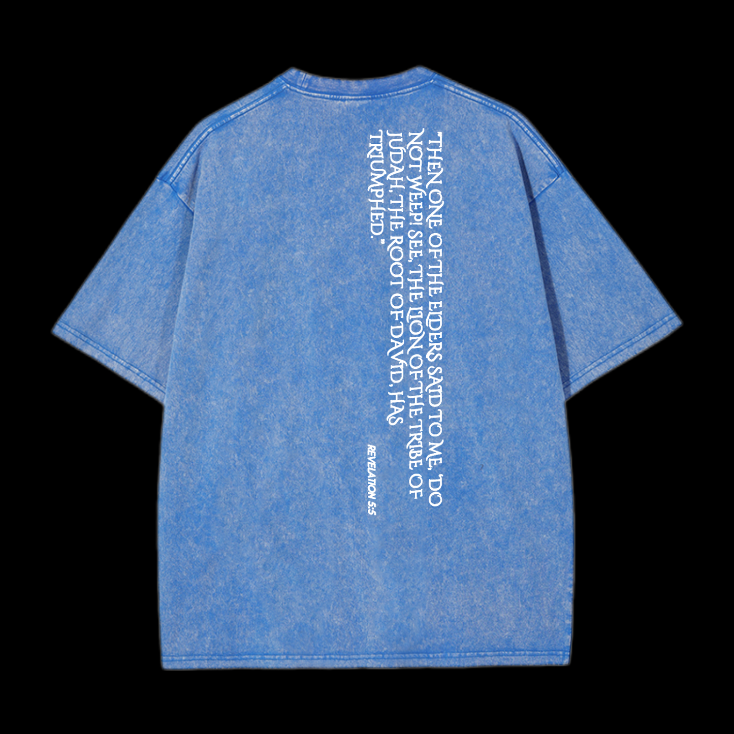 Lion Of Judan Washed T-Shirt