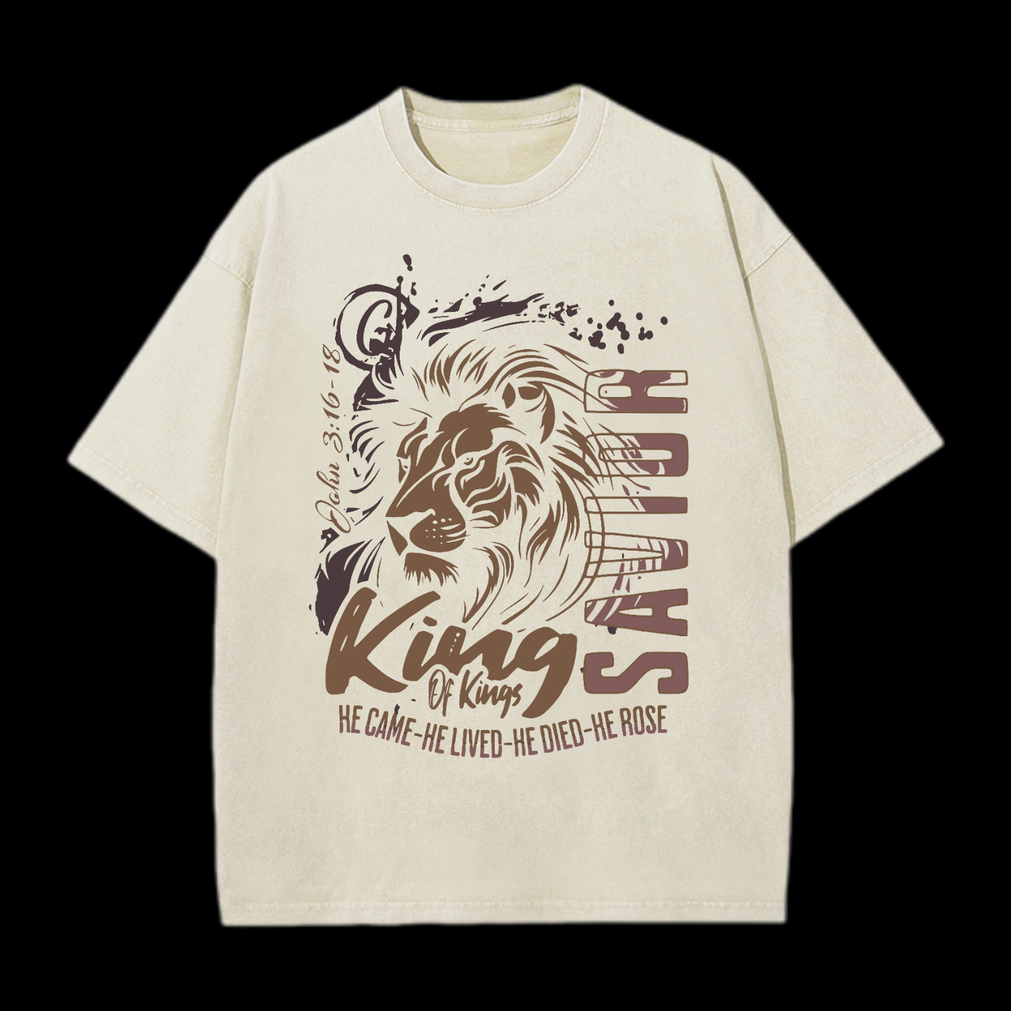 He Came He Lived Washed T-Shirt