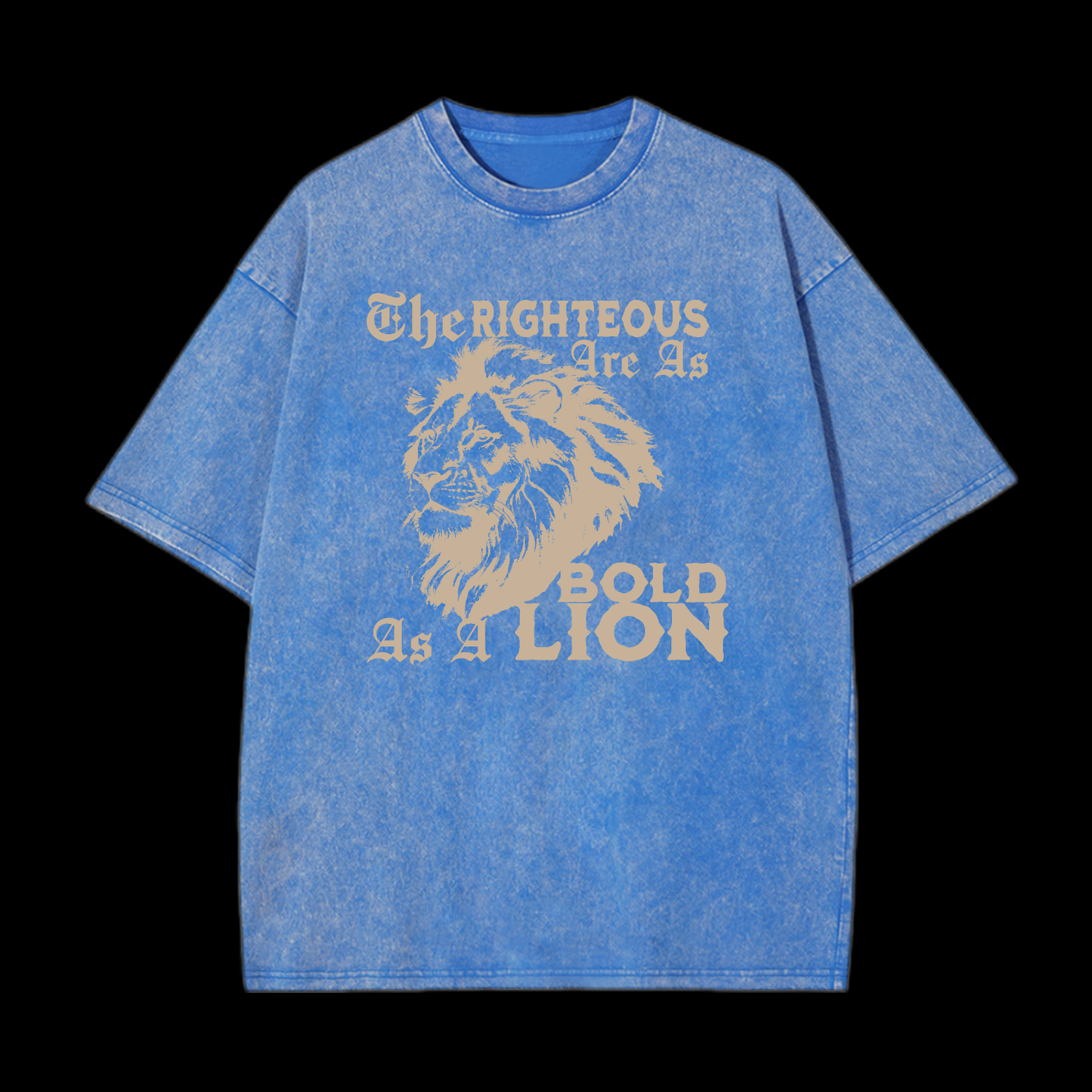 The Righteous Are As Bold As A Lion Washed T-Shirt