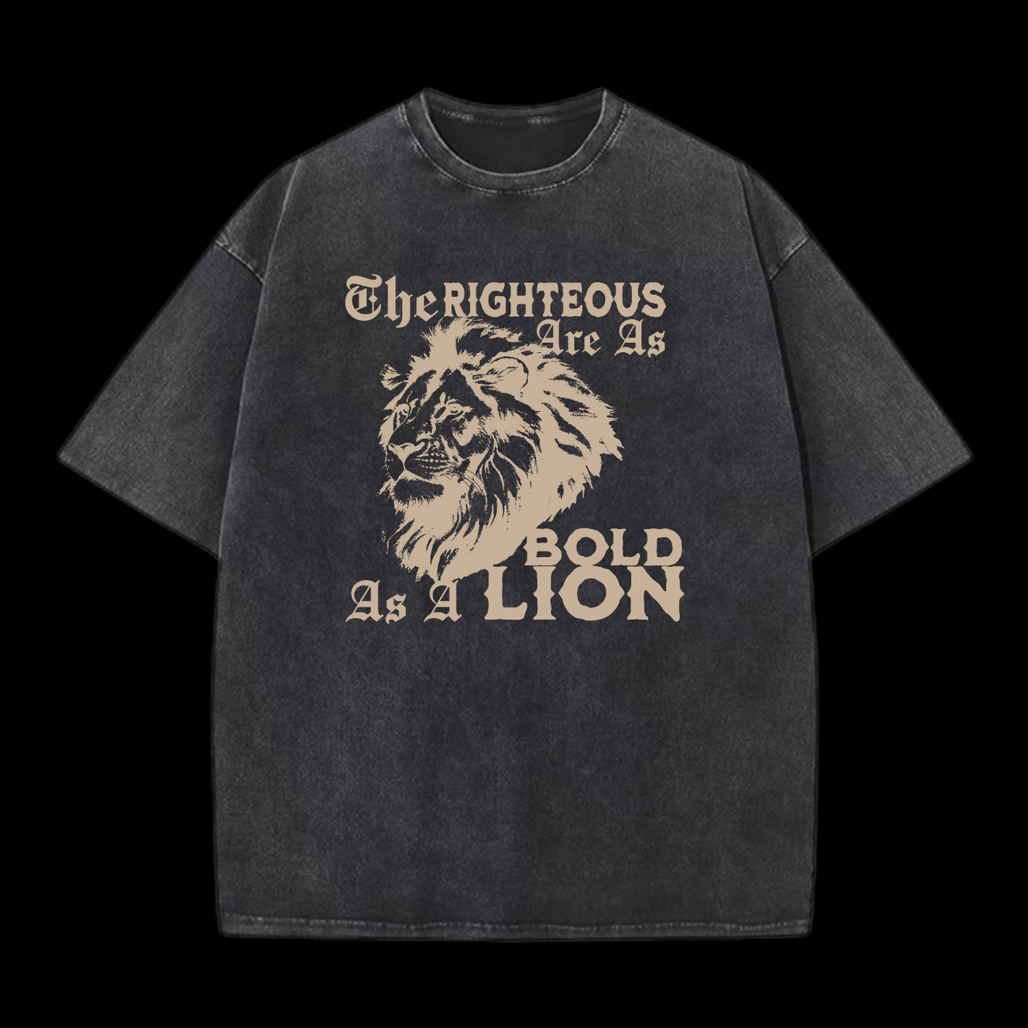 The Righteous Are As Bold As A Lion Washed T-Shirt