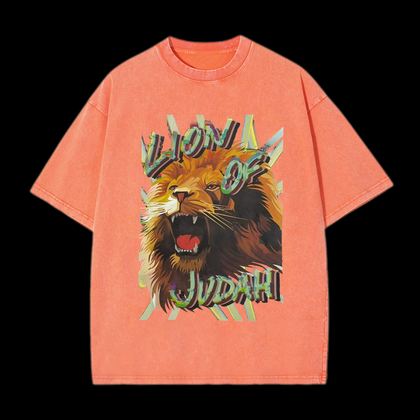 Lion Of Judah Washed T-Shirt