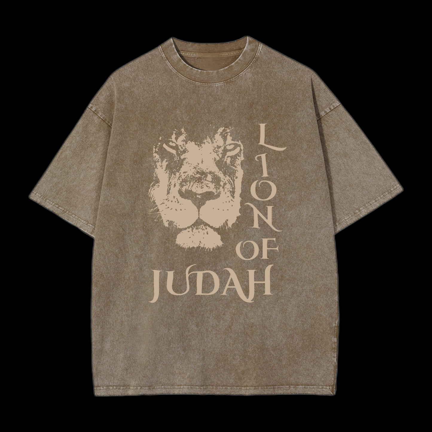 Lion Of Judan Washed T-Shirt