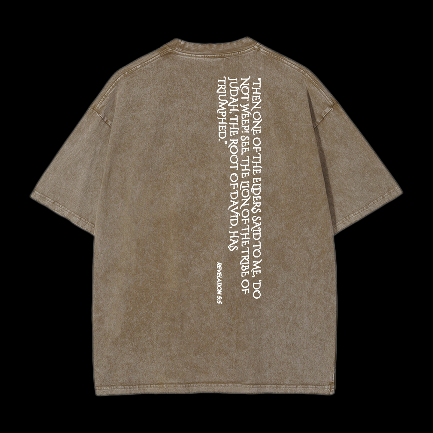 Lion Of Judan Washed T-Shirt