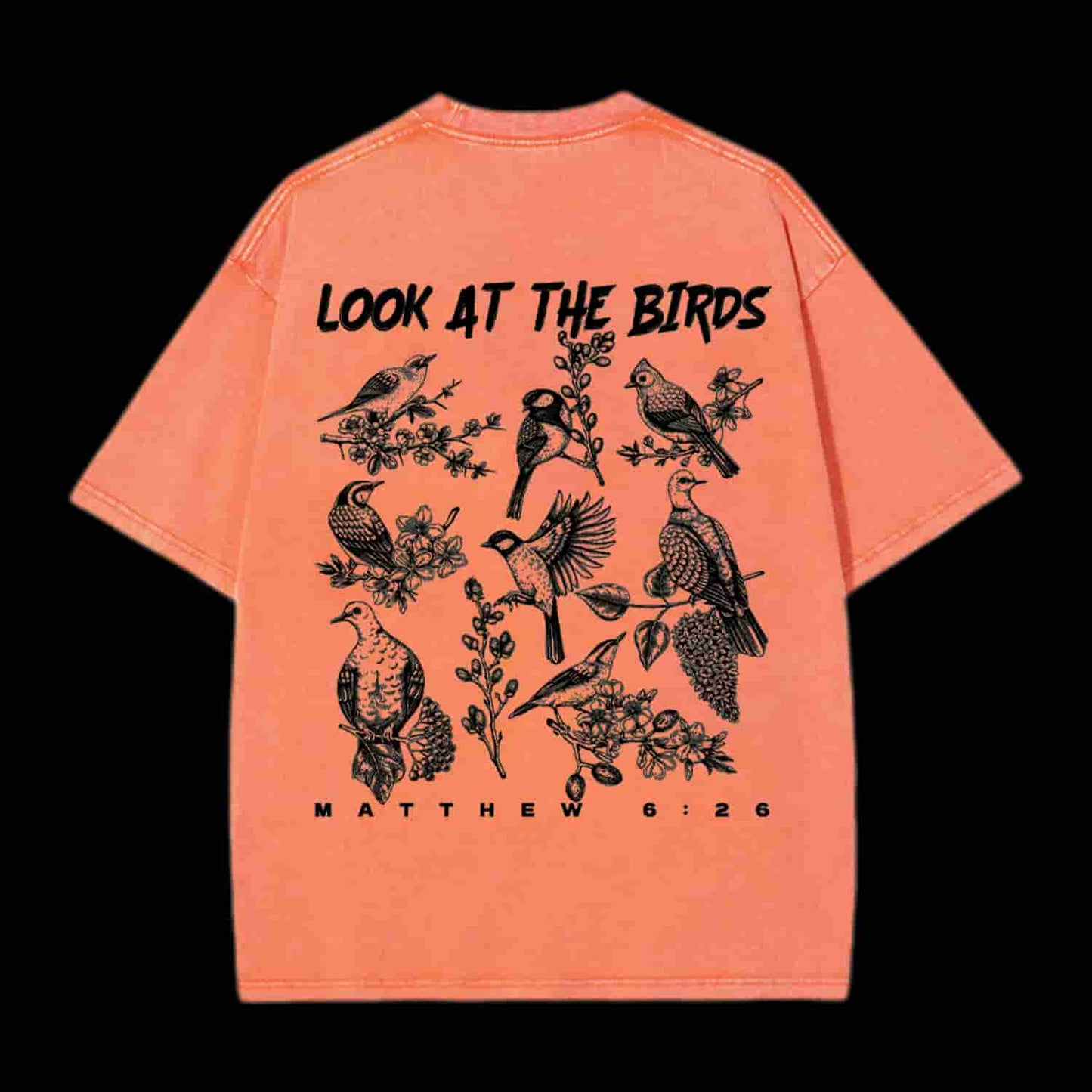 Look At The Birds Christian Tee