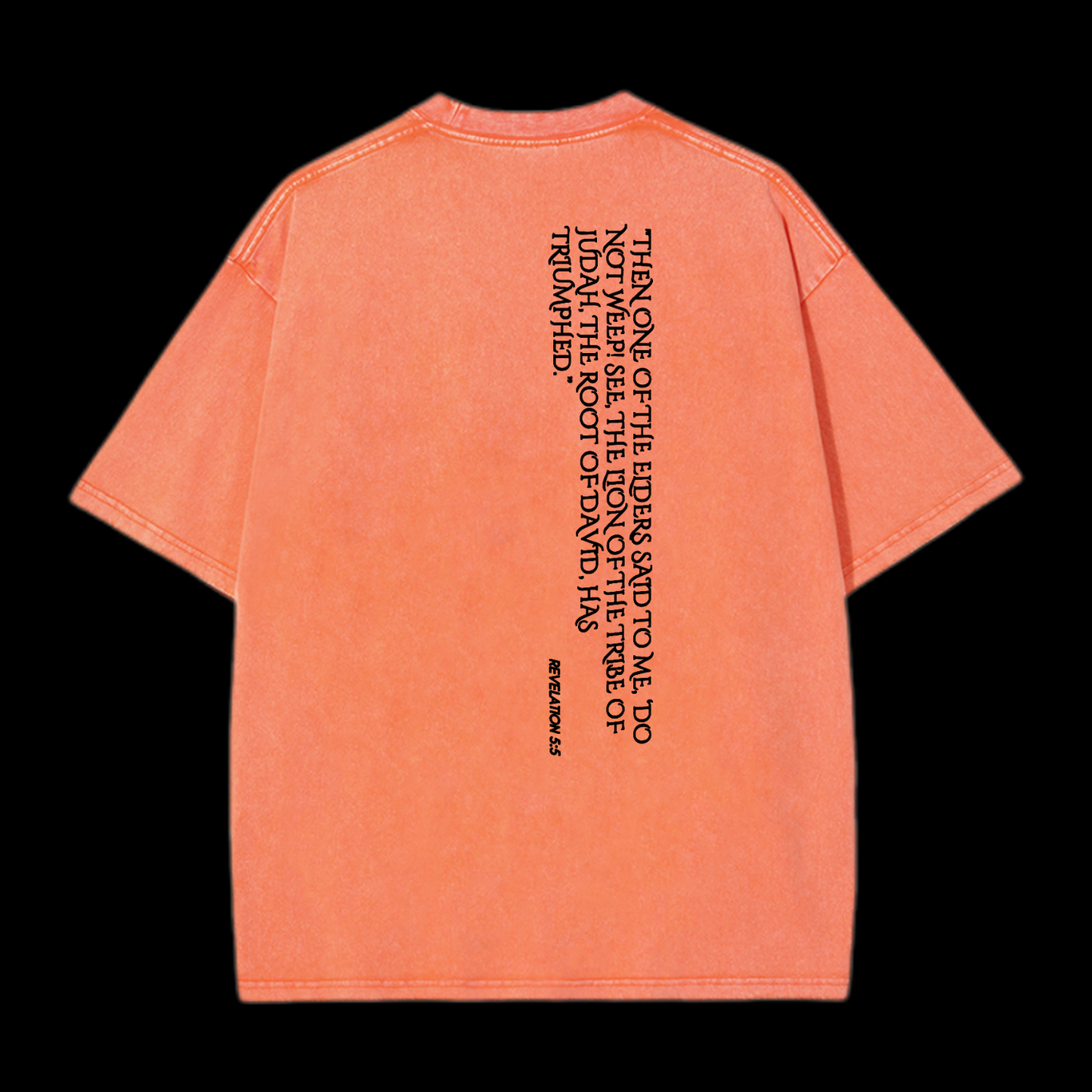 Lion Of Judan Washed T-Shirt