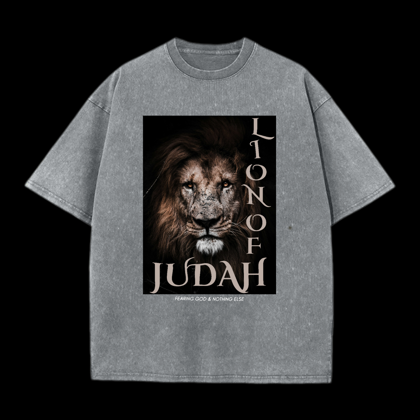 Lion Of Judan Washed T-Shirt