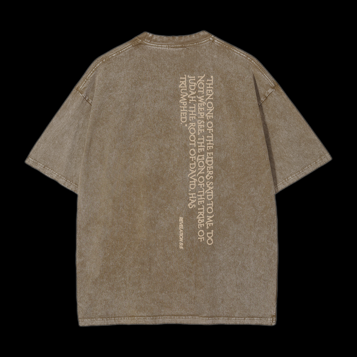 Lion Of Judan Washed T-Shirt