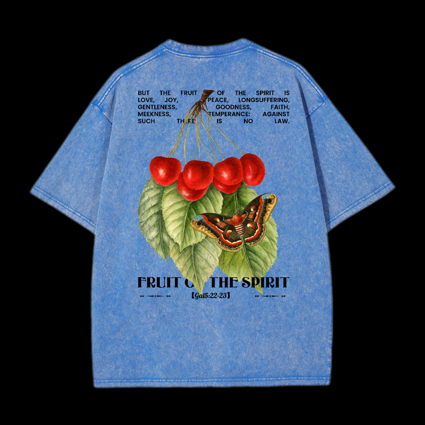 Fruit Of The Spirit Washed T-Shirt