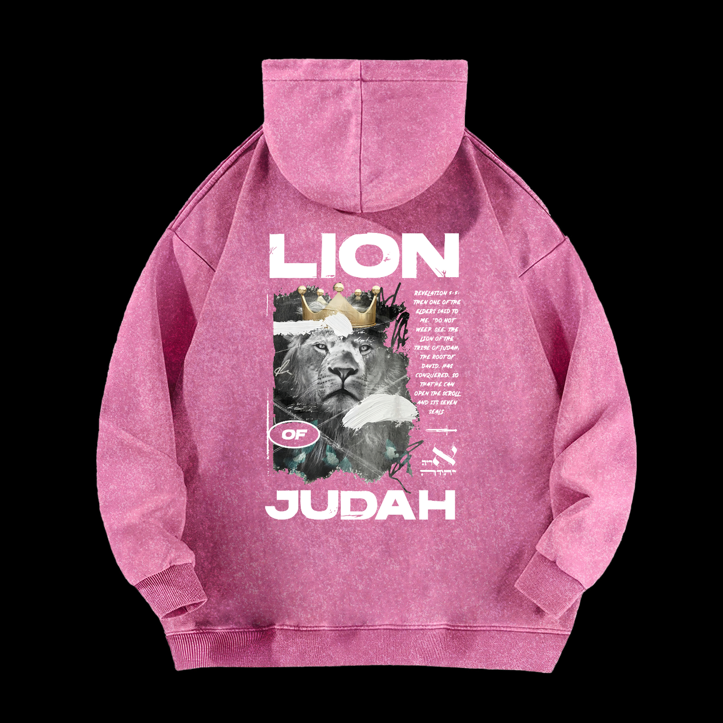Lion Of Judan Washed Hoodie