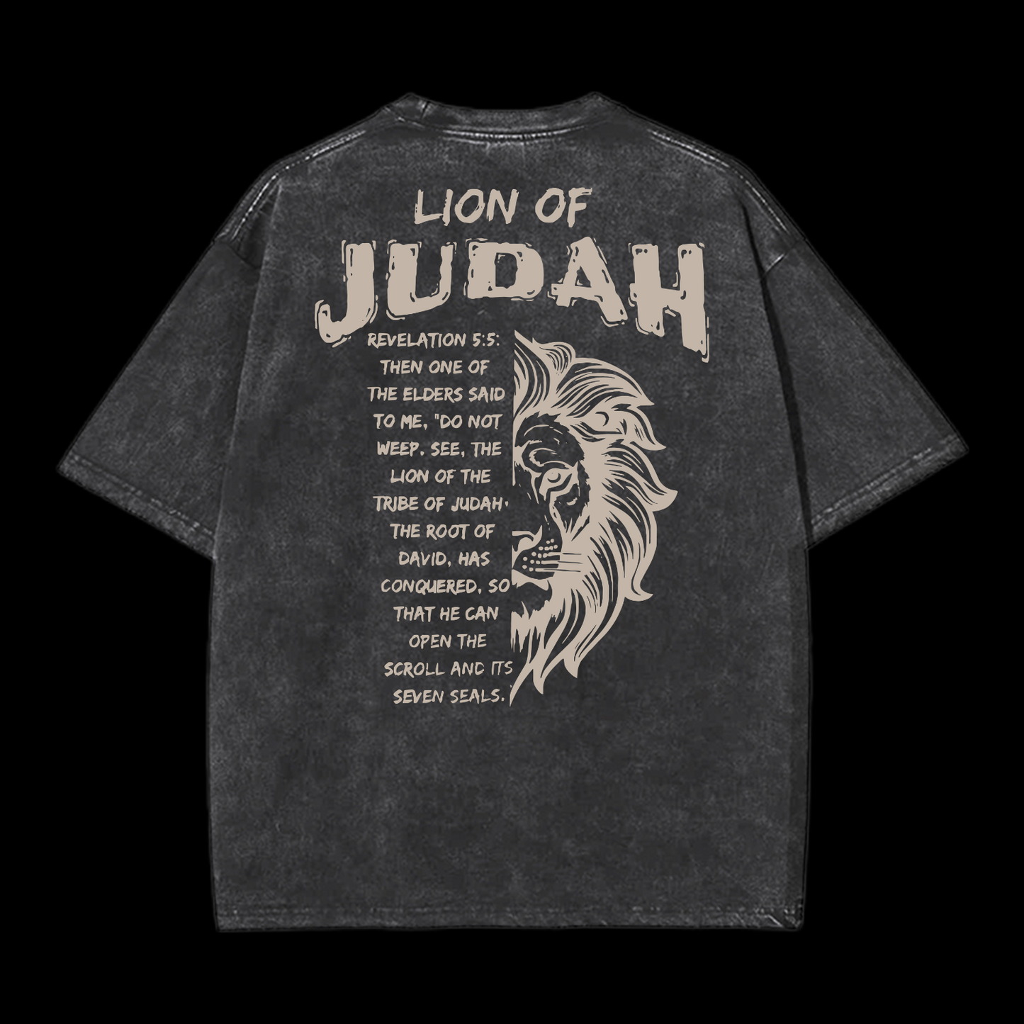 Lion Of Judan Washed T-Shirt