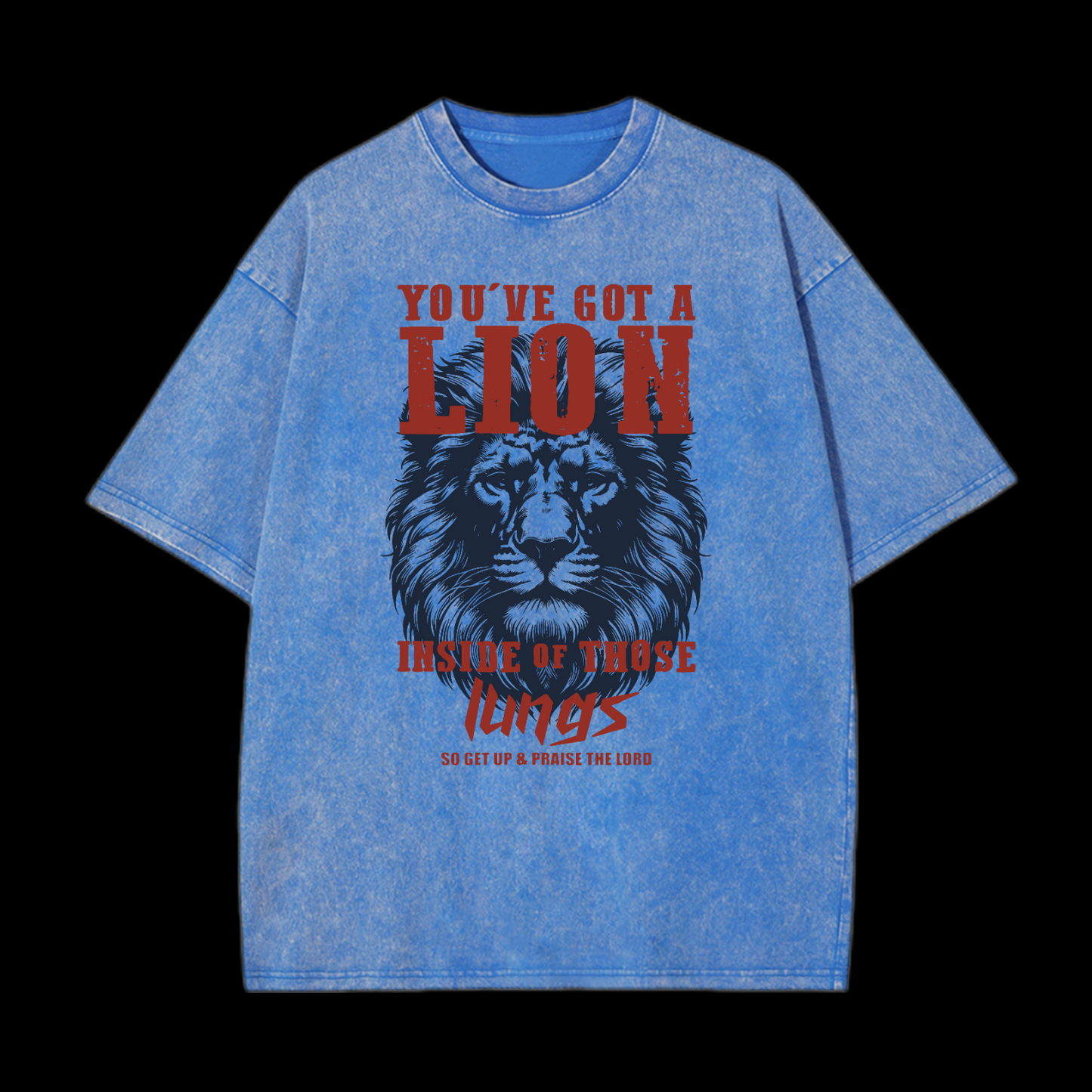 You've Got A Lion Washed T-Shirt