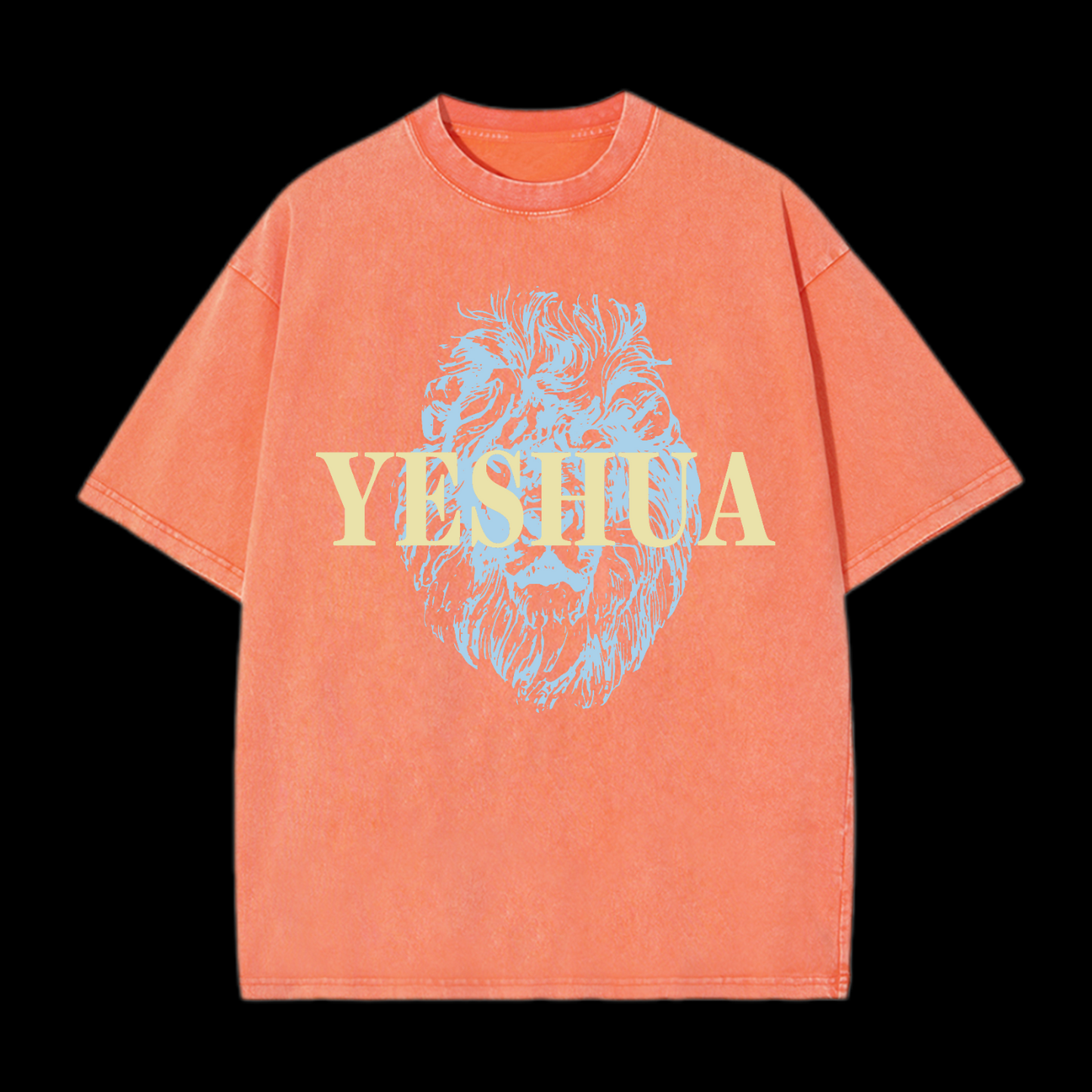 Yeshua Washed T-Shirt