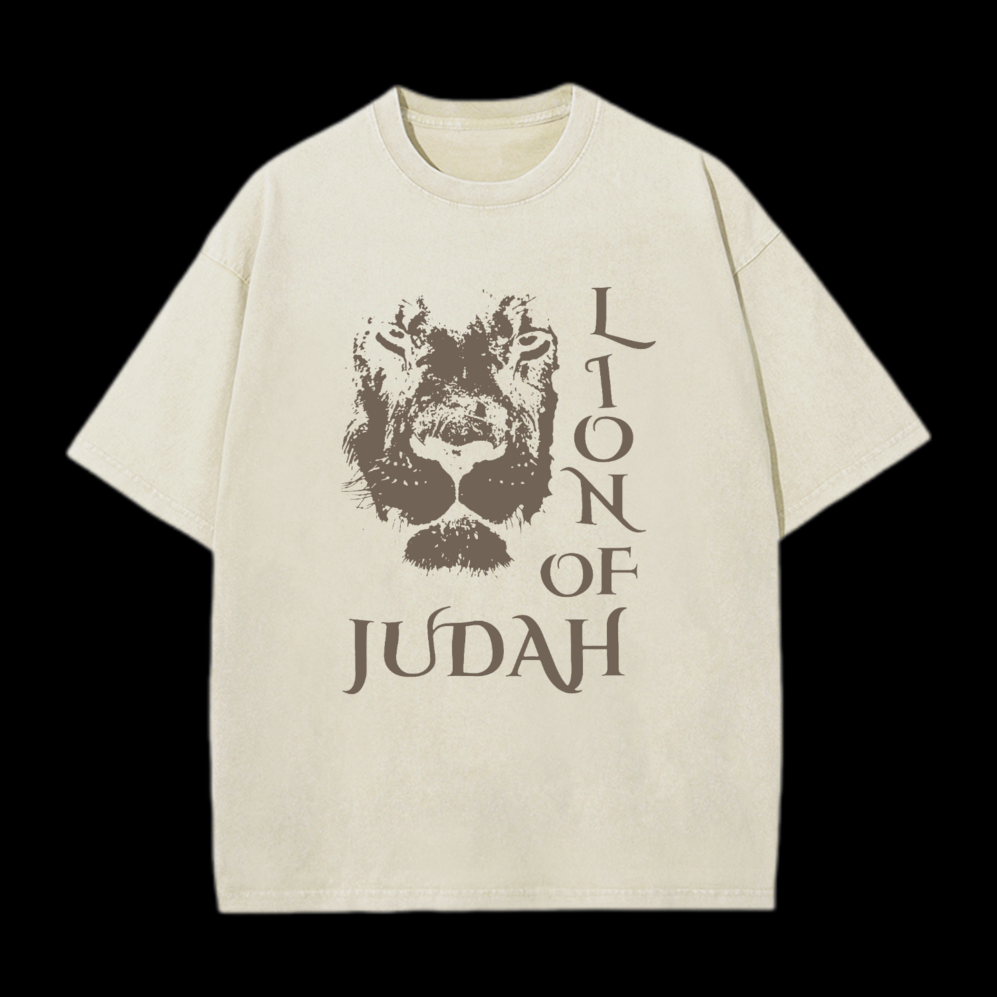 Lion Of Judan Washed T-Shirt
