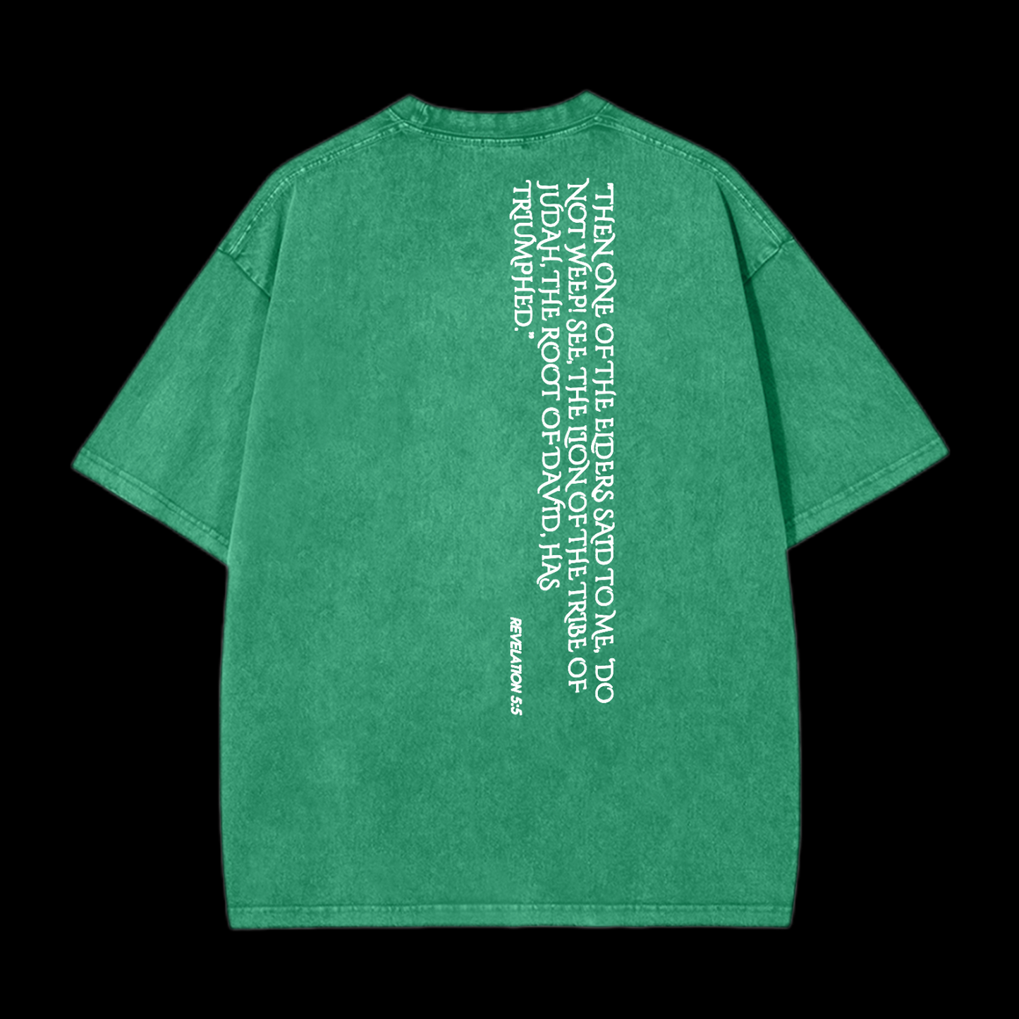 Lion Of Judan Washed T-Shirt