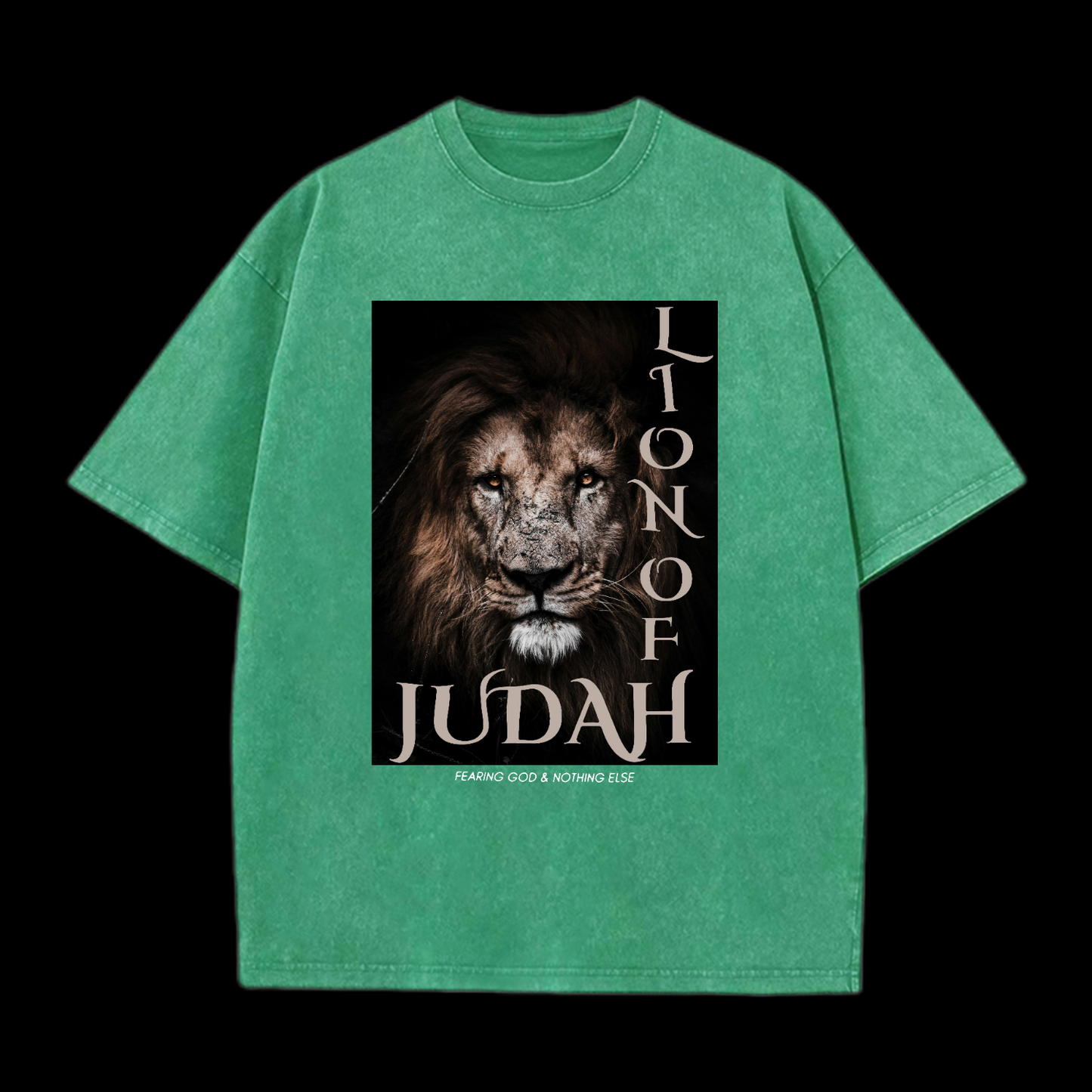 Lion Of Judan Washed T-Shirt