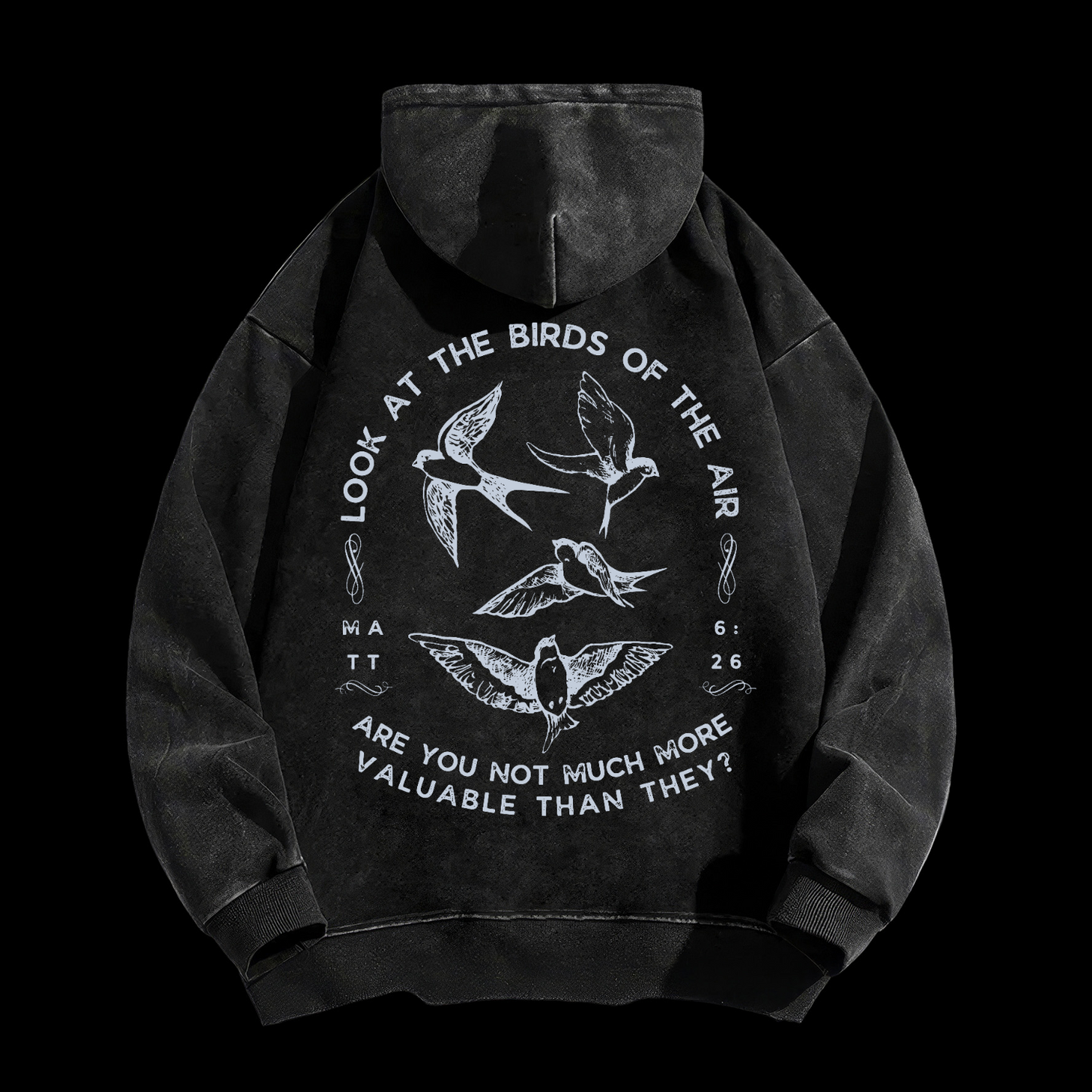 Look At The Birds Of The Air Washed Hoodie