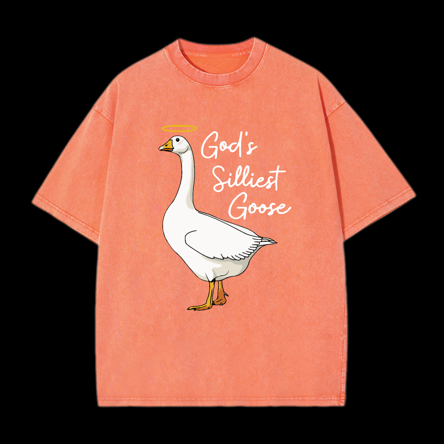 God's Silliest Goose Washed T-Shirt
