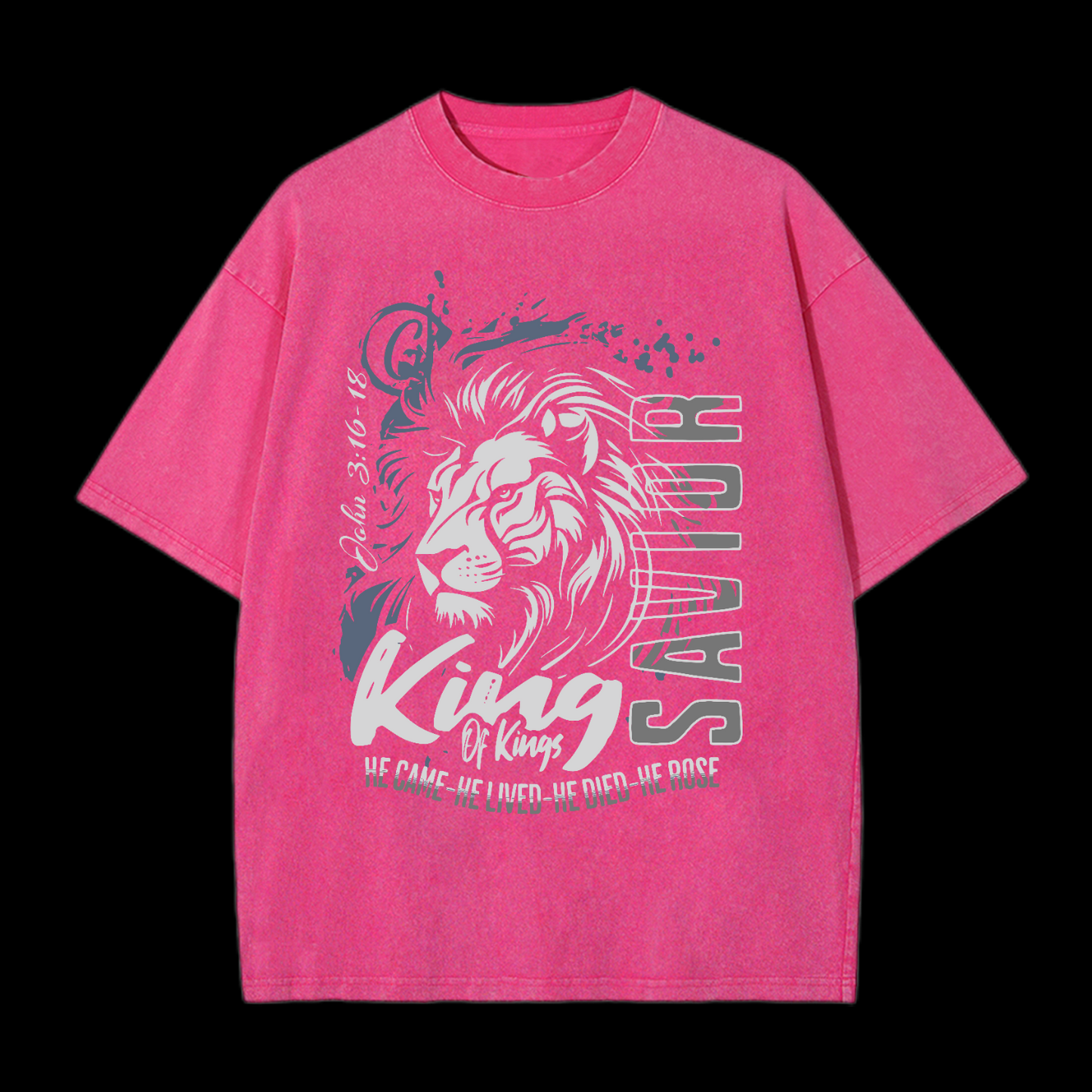 He Came He Lived Washed T-Shirt