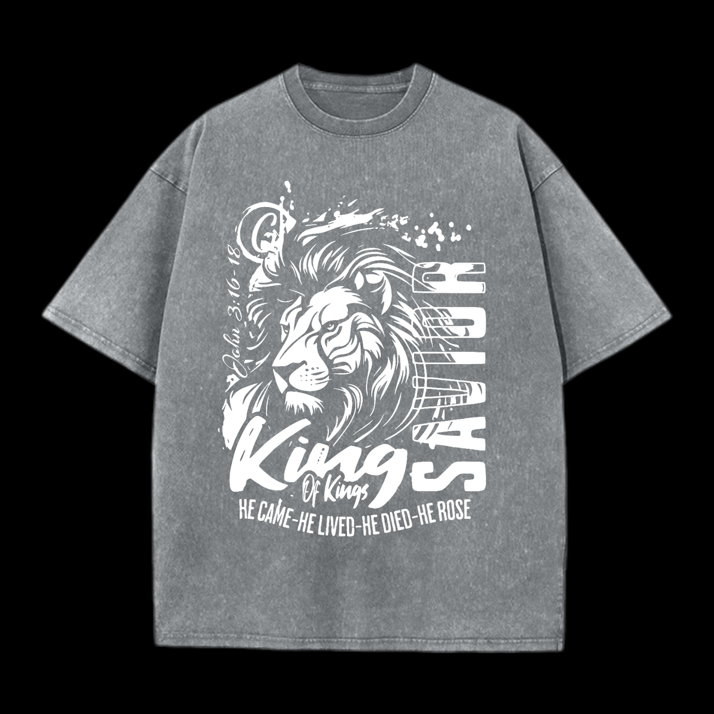 He Came He Lived Washed T-Shirt