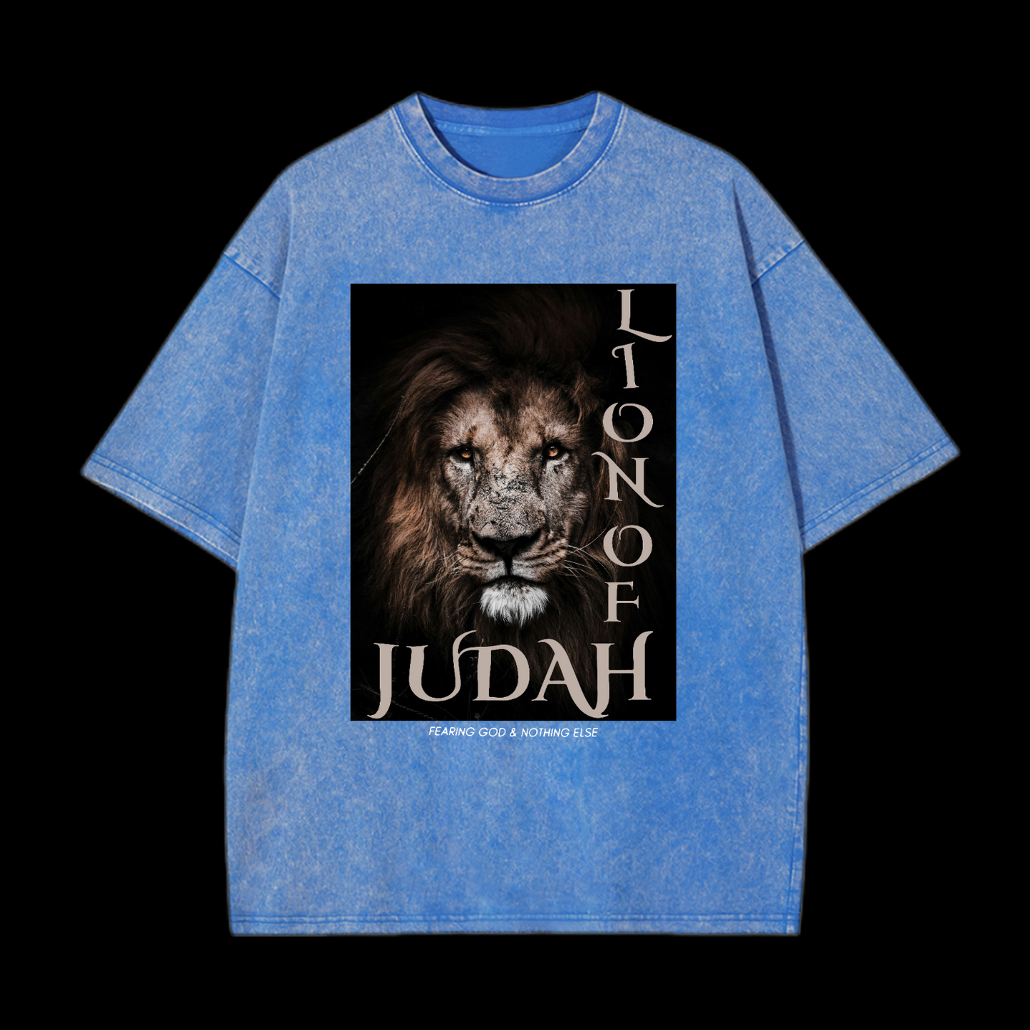 Lion Of Judan Washed T-Shirt