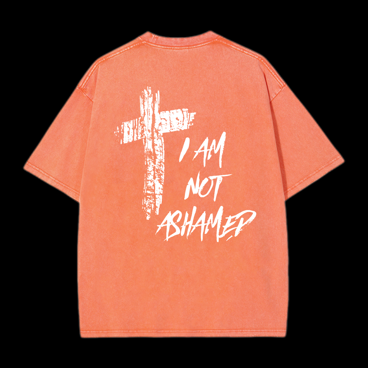 I Am Not Ashamed Washed T-Shirt