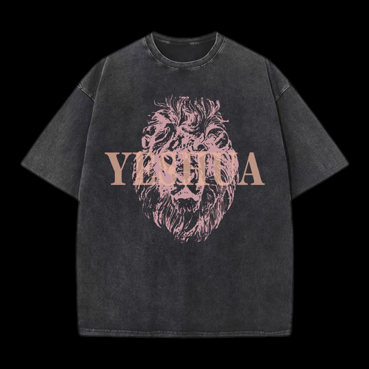 Yeshua Washed T-Shirt
