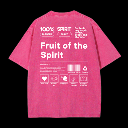 Fruit Of The Spirit Washed T-Shirt