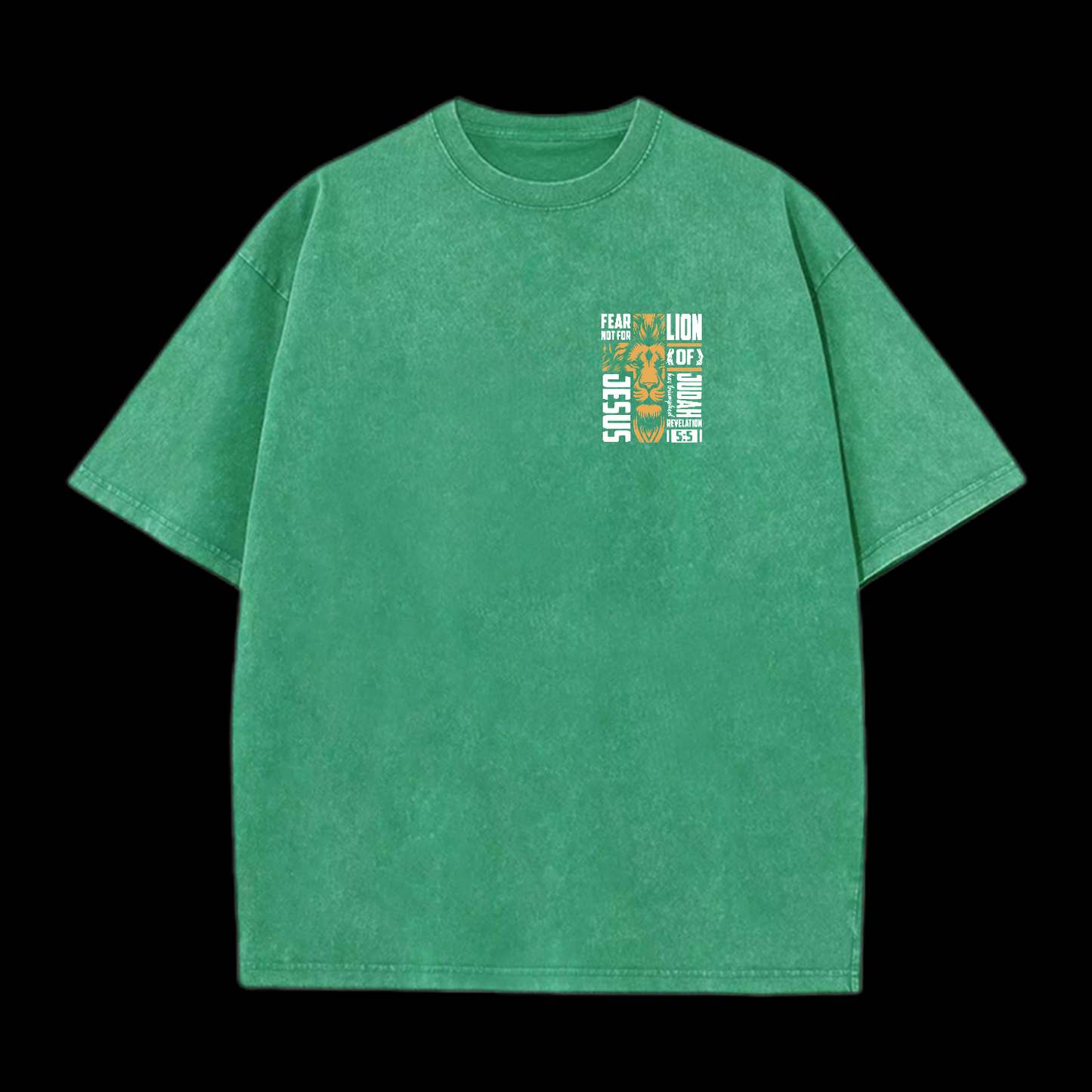 Lion Of Judah Washed T-Shirt