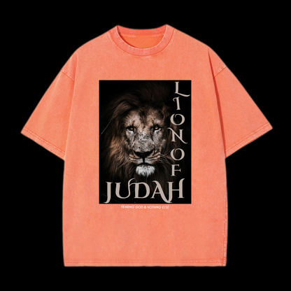 Lion Of Judan Washed T-Shirt