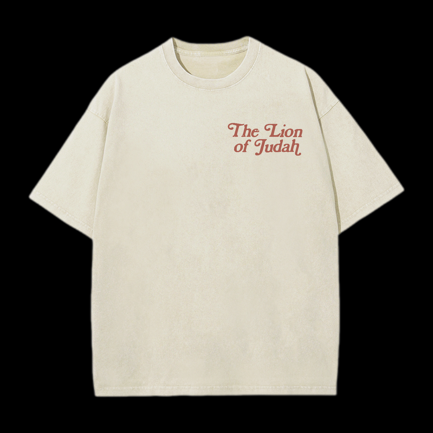 The Lion Of Judah Washed T-Shirt