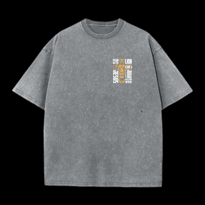 Lion Of Judah Washed T-Shirt