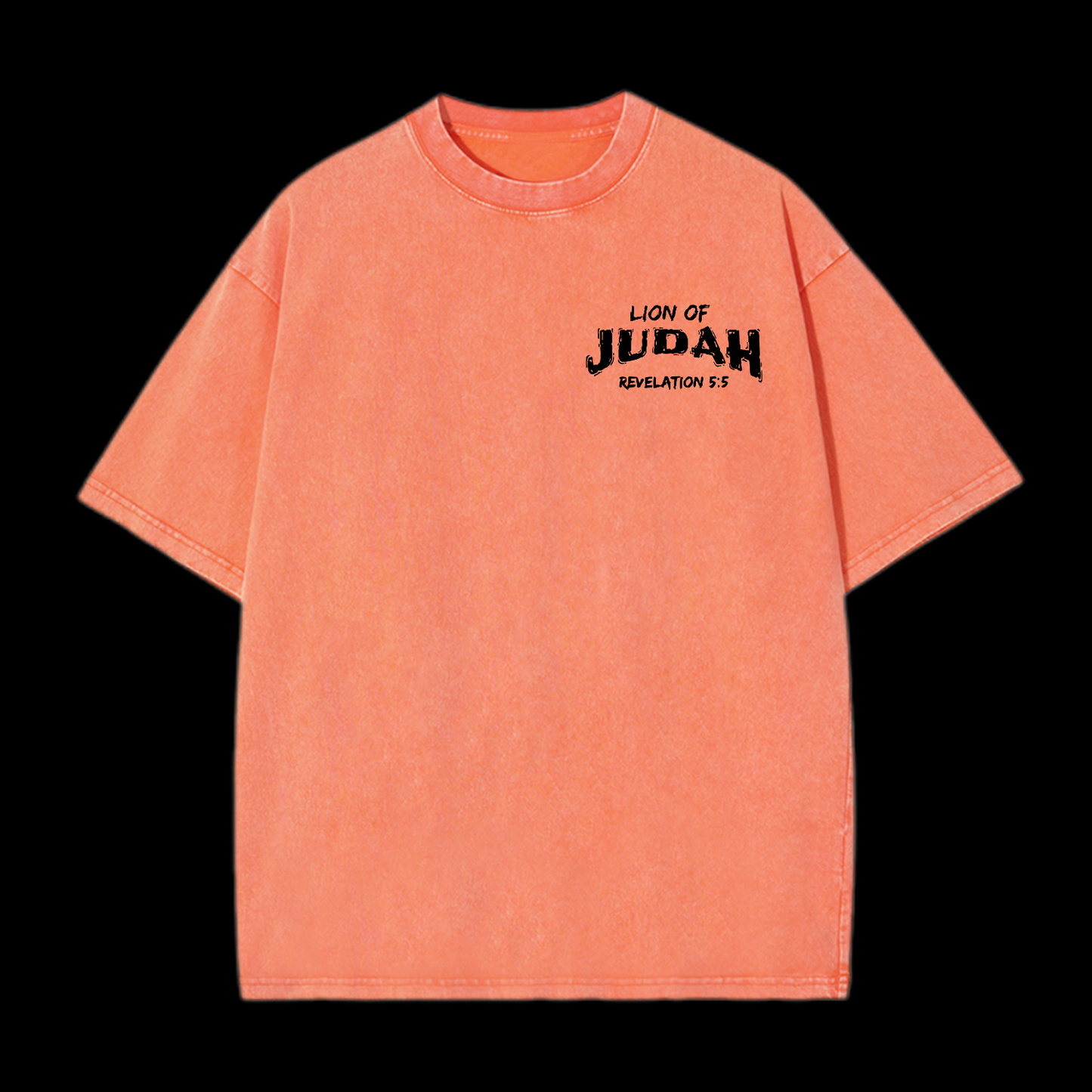 Lion Of Judan Washed T-Shirt