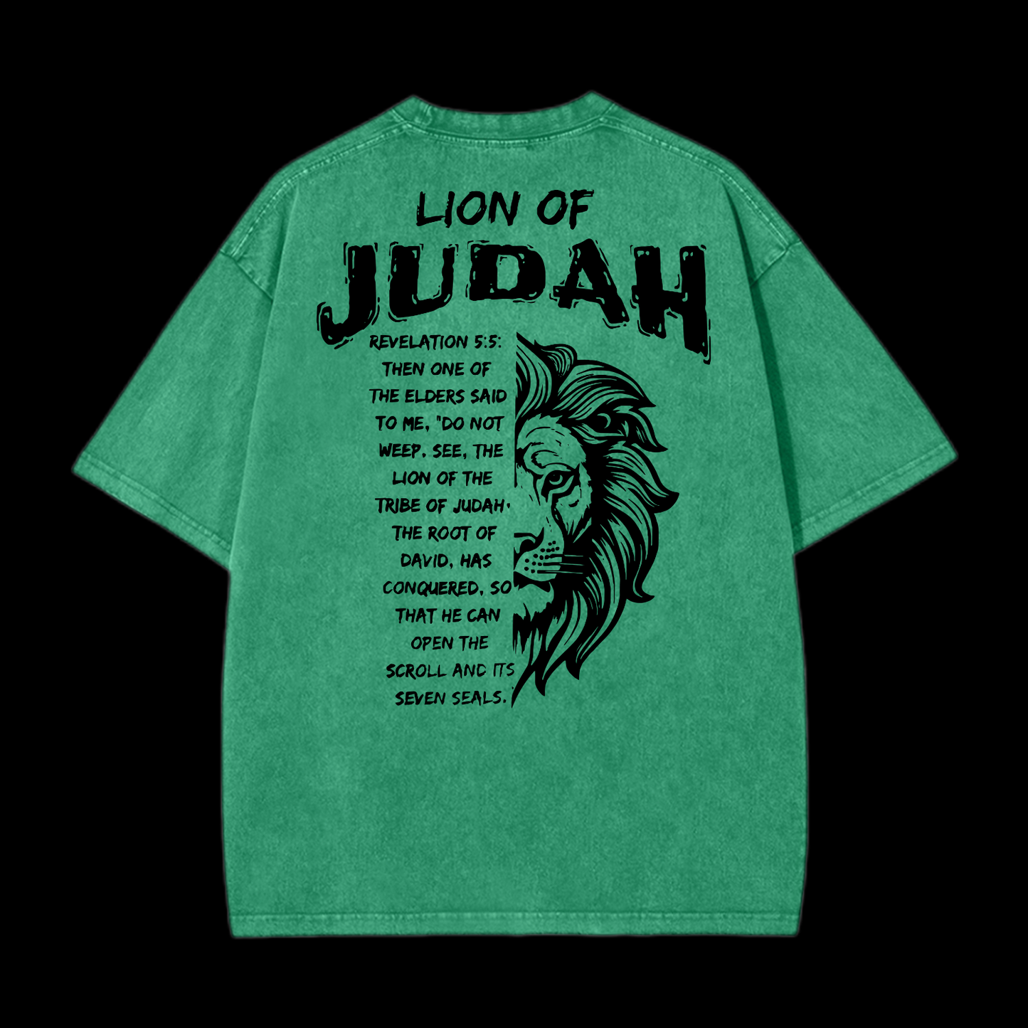 Lion Of Judan Washed T-Shirt