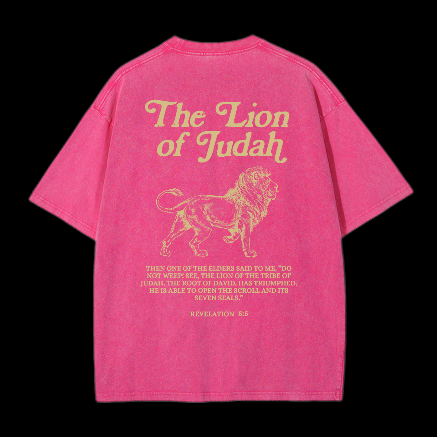 The Lion Of Judah Washed T-Shirt