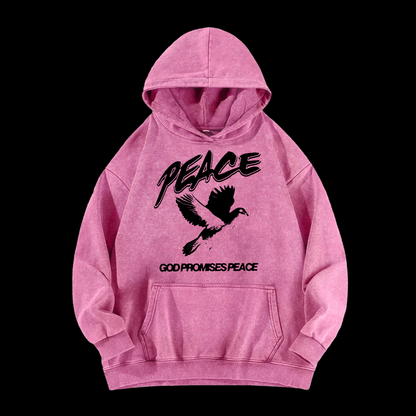 Peace Washed Hoodie