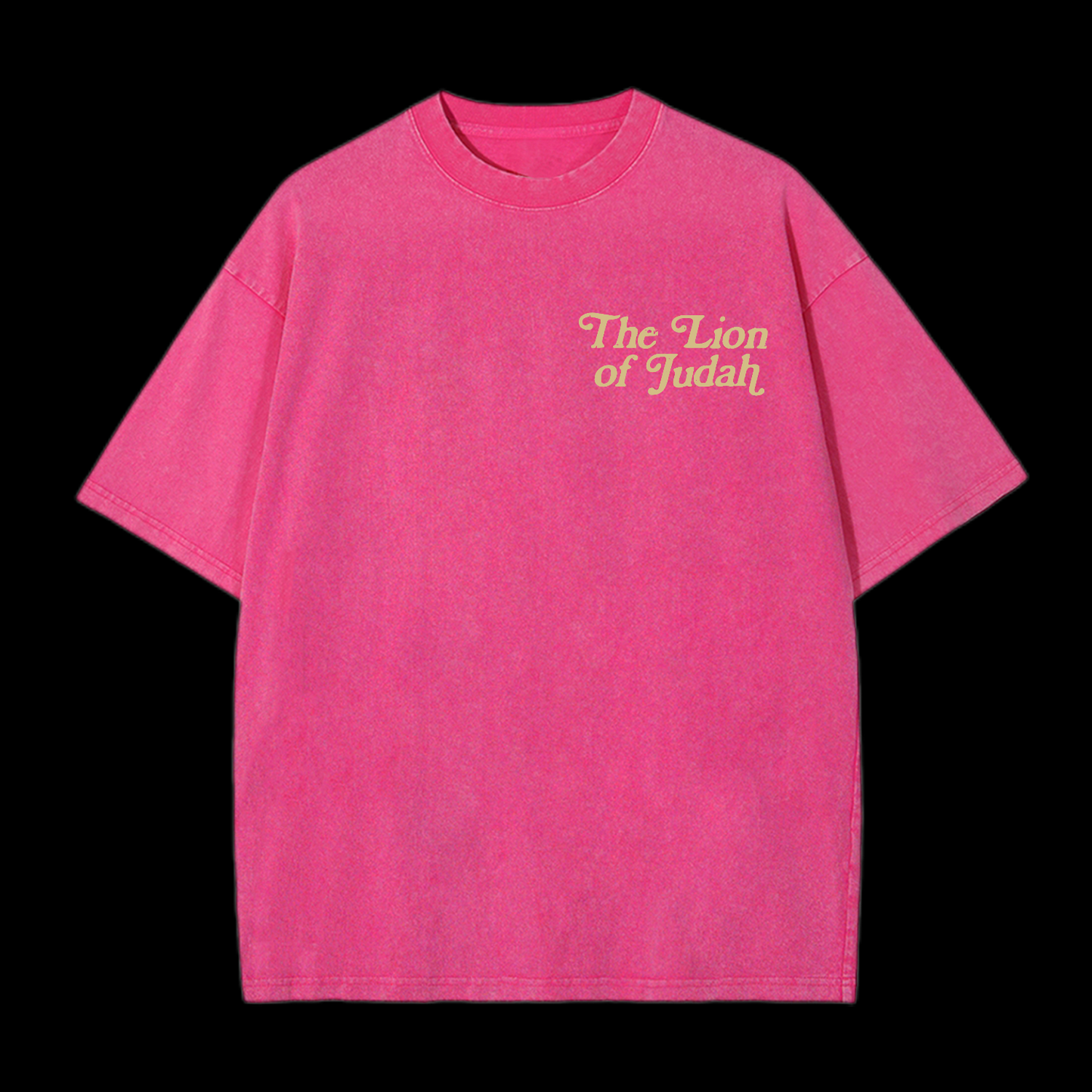 The Lion Of Judah Washed T-Shirt