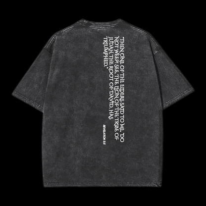Lion Of Judan Washed T-Shirt