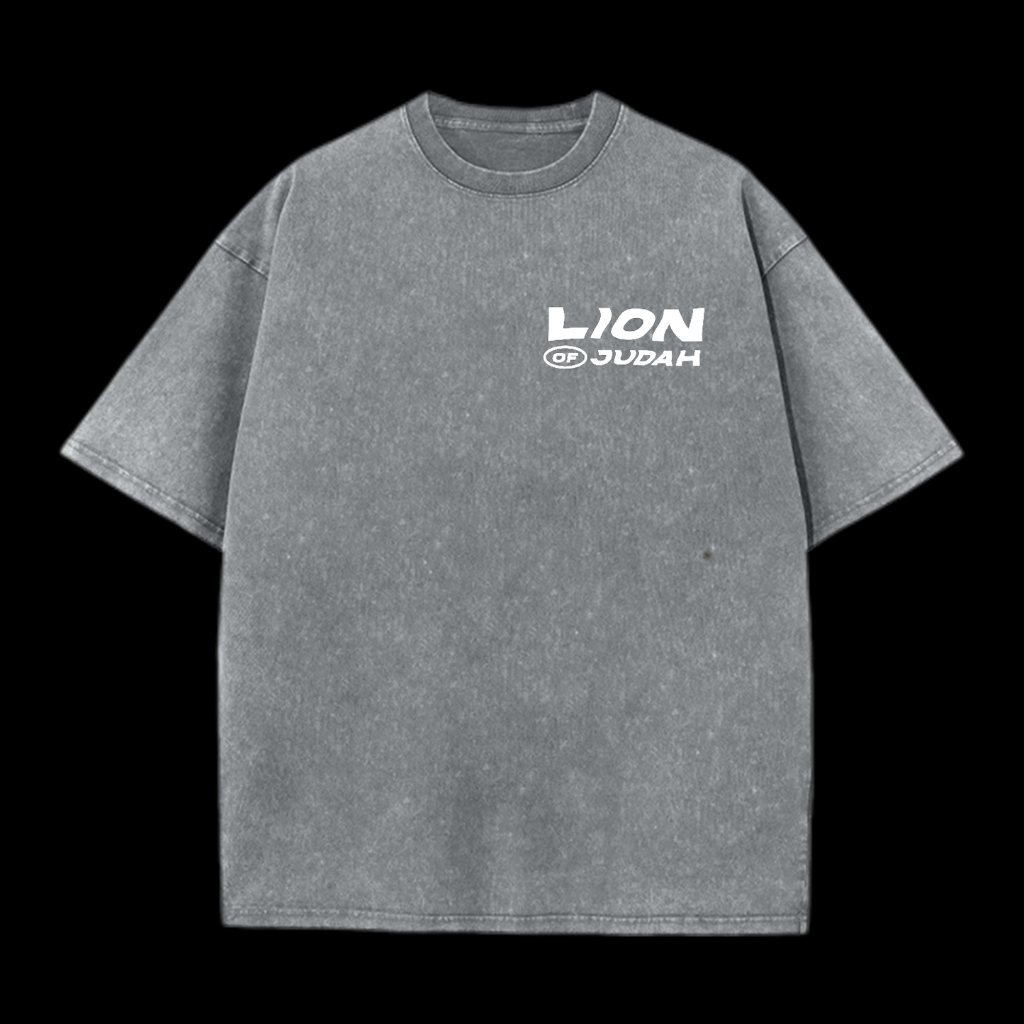 Lion Of Judan Washed T-Shirt