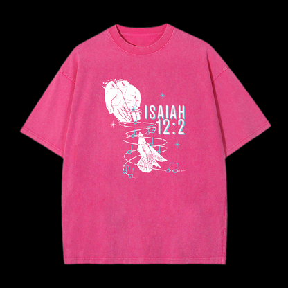 Isaiah 12:2 Washed T-Shirt