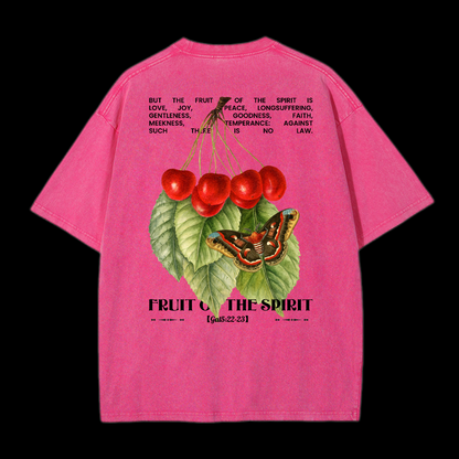 Fruit Of The Spirit Washed T-Shirt