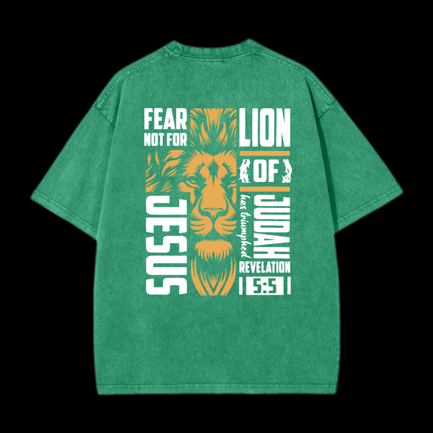Lion Of Judah Washed T-Shirt