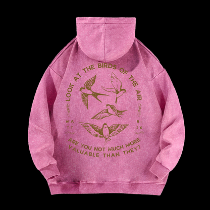 Look At The Birds Of The Air Washed Hoodie