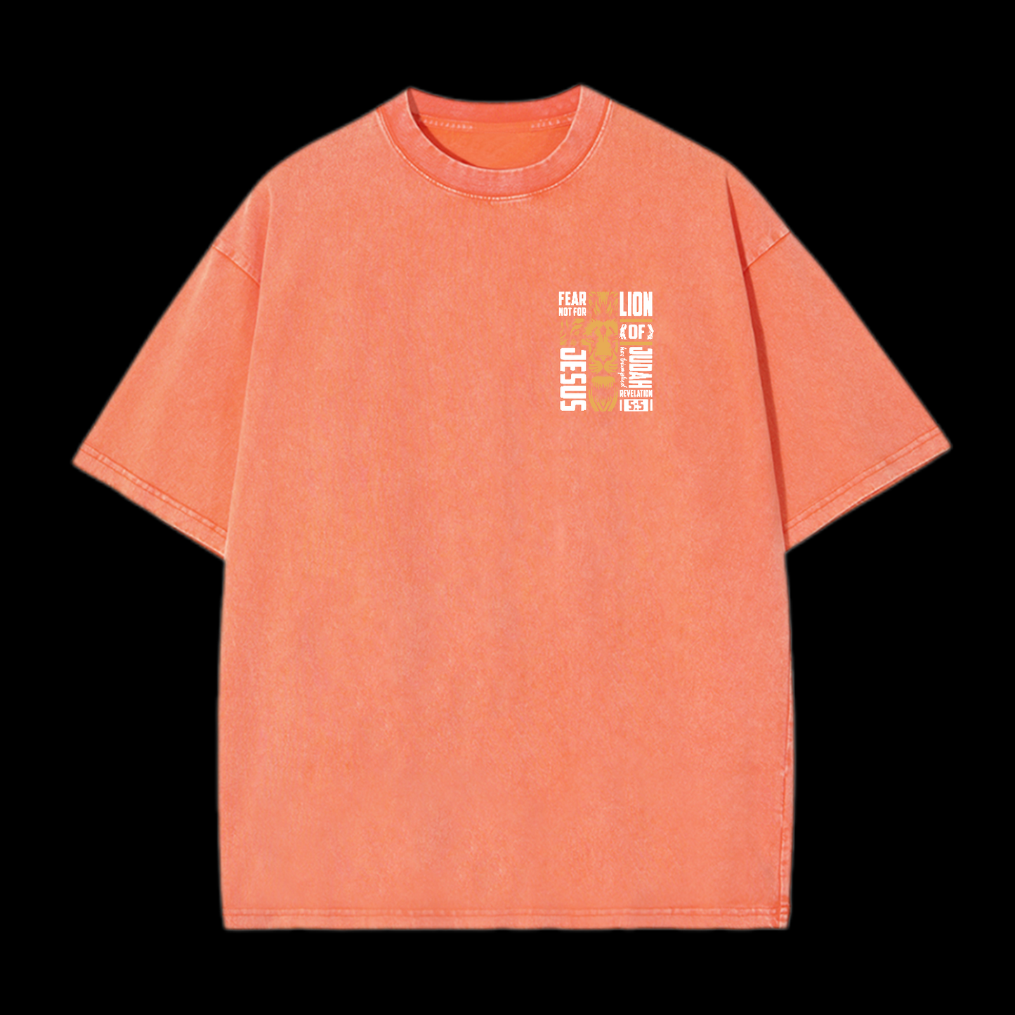 Lion Of Judah Washed T-Shirt