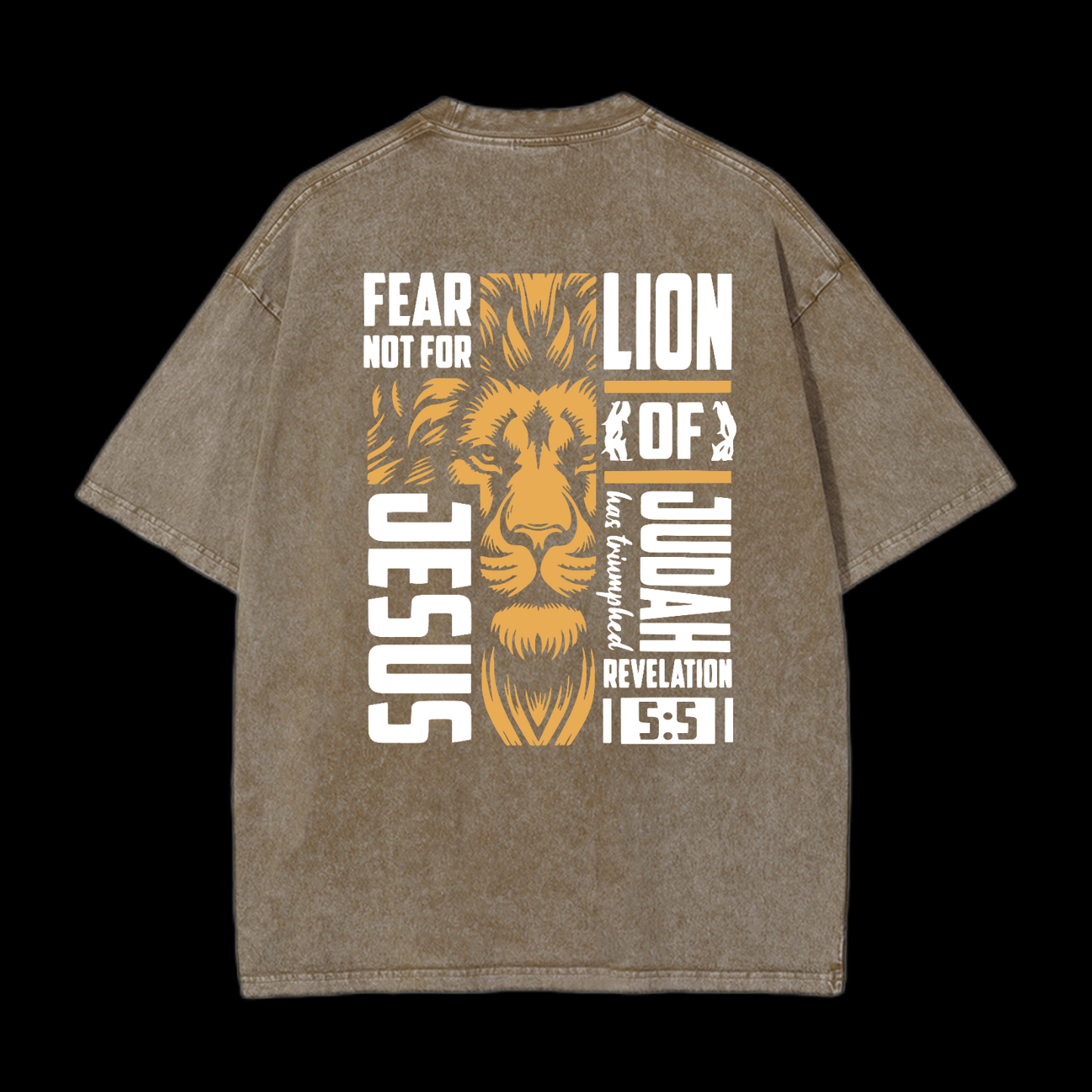 Lion Of Judah Washed T-Shirt