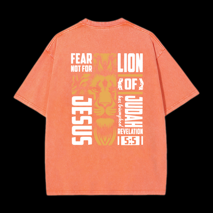 Lion Of Judah Washed T-Shirt