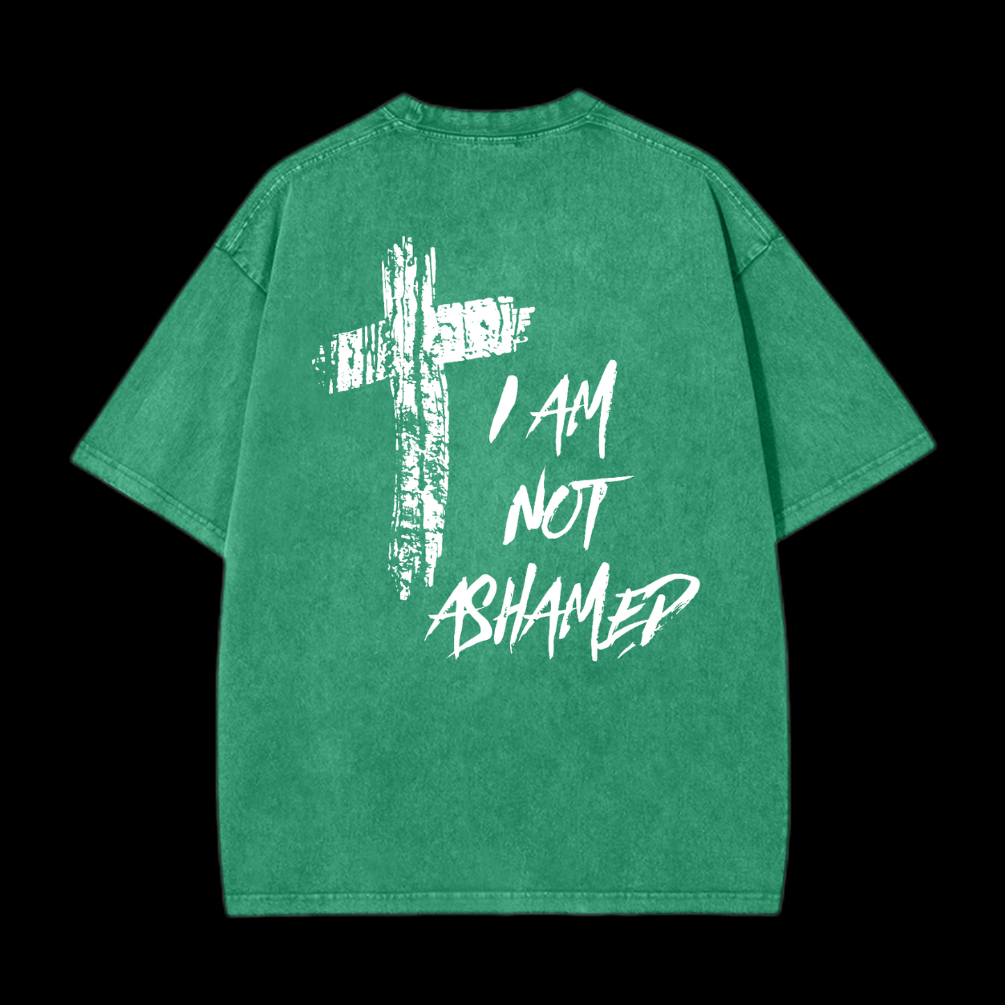 I Am Not Ashamed Washed T-Shirt