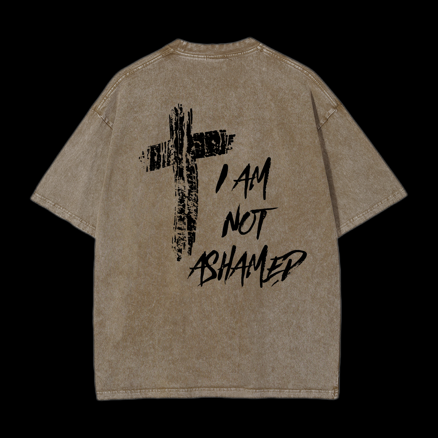 I Am Not Ashamed Washed T-Shirt