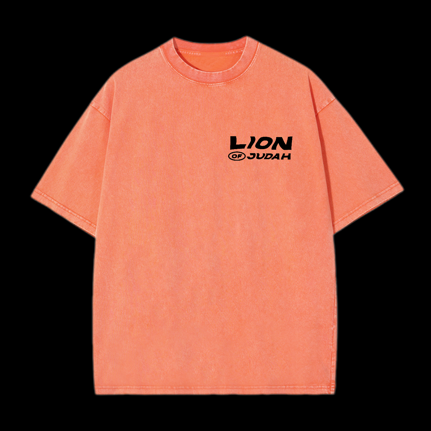 Lion Of Judan Washed T-Shirt